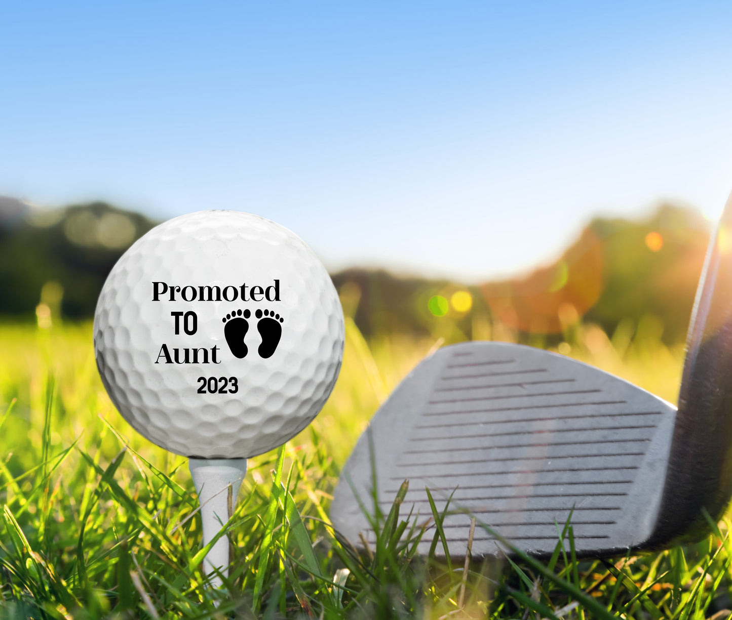 Promoted to Aunt, Custom Golf Balls, Pregnancy Reveal Gift, Aunt Gift, Aunt to Be Gift, Pregnancy Announcement, Gift for Aunt, Uncle Gift #0036