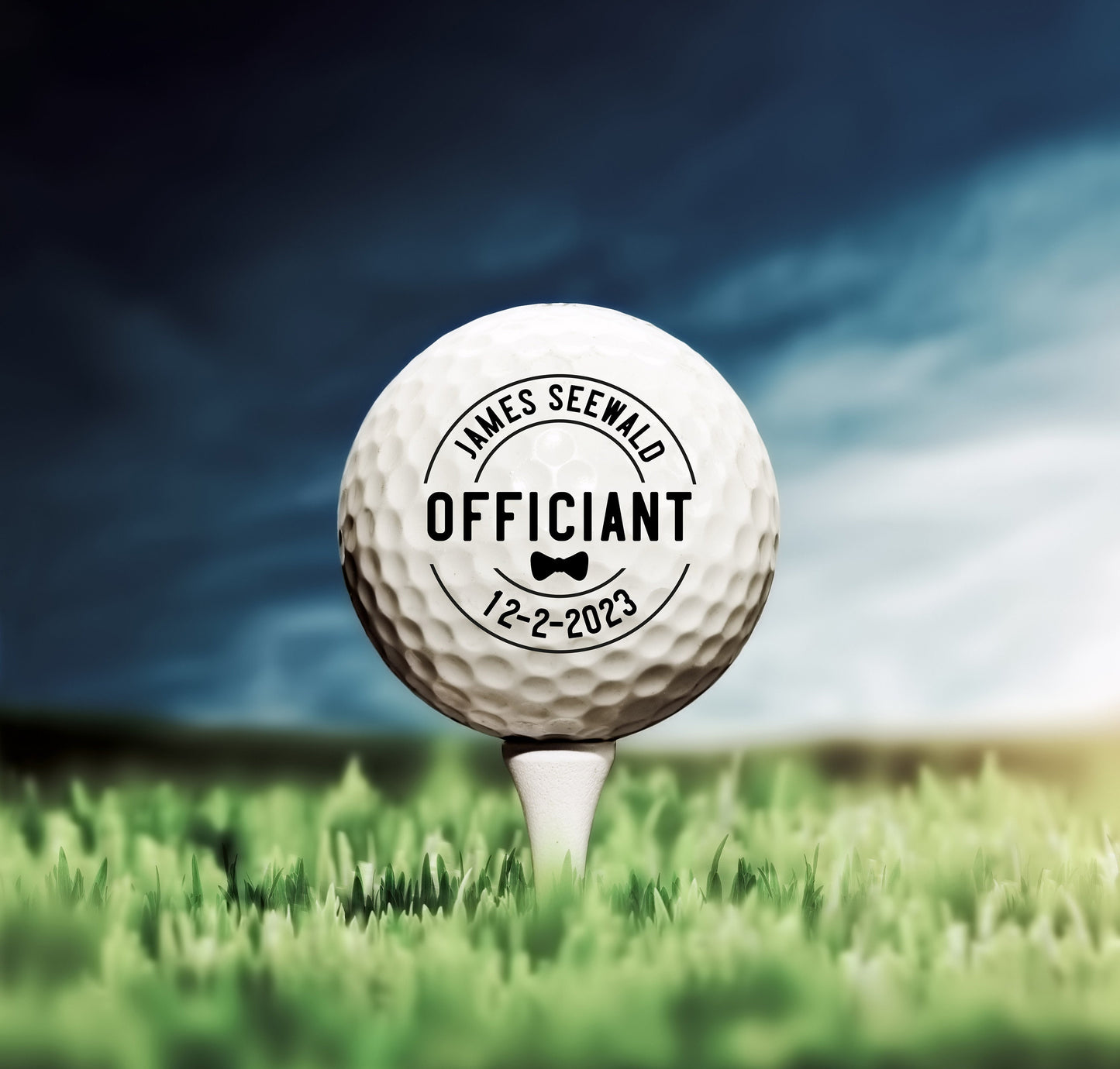 Officiant Gift, Gift For Officiant, Pastor Gift, Custom Golf Ball, Officiant Proposal, Ordained Minister, Wedding Party, Golf Ball Proposal #0065