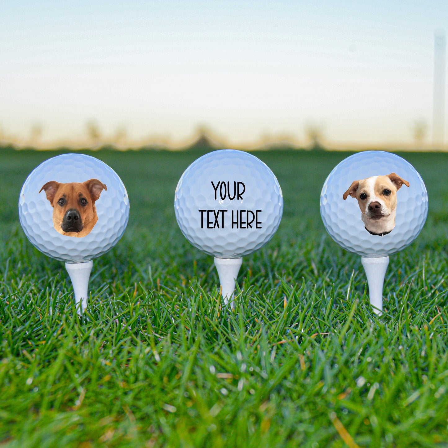 Custom Golf Balls, Dog Face Golf Balls, Personalized Golf Ball, Dad Golf Ball, Custom Dog Gift, Dog Mom Golf, Best Dog Dad, Golf Gift