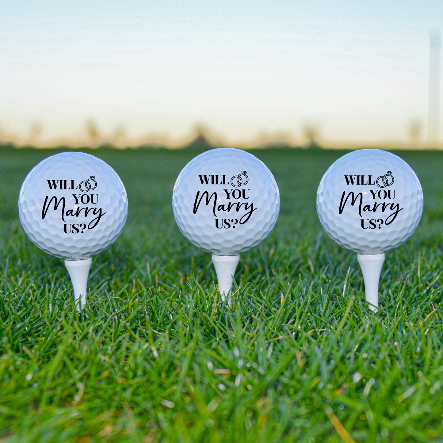Officiant Gift, Custom Golf Ball, Will You Marry Us, Gift For Officiant, Officiant Proposal, Pastor Gift, Ordained Minister, Golf Balls Gift #0076